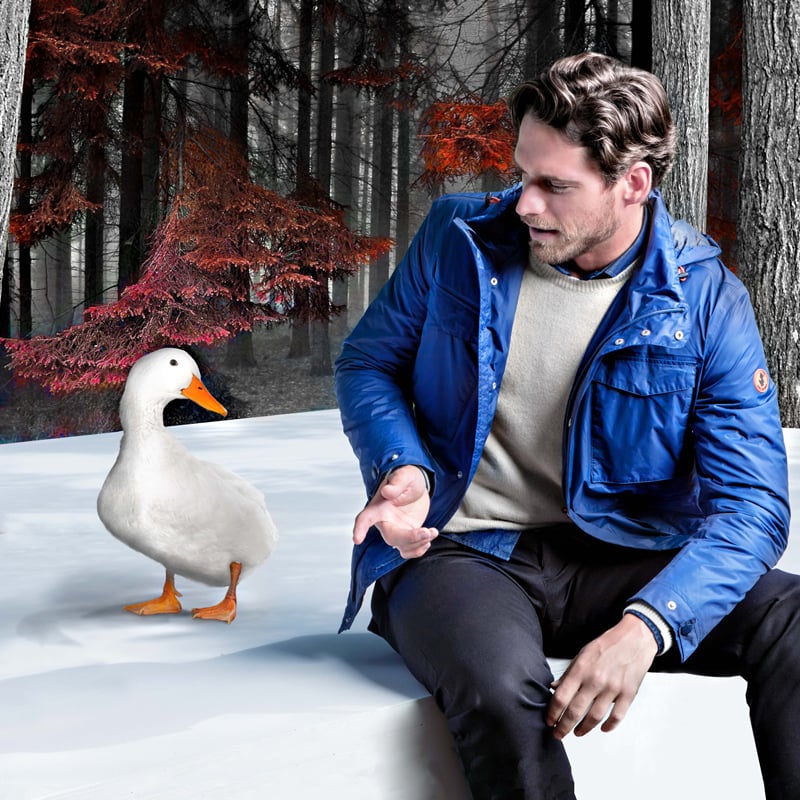 Case history: Save The Duck